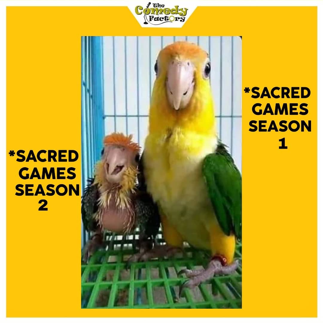 The Comedy Factory,  meme, sacredgames2, memesdaily, funnymemes, sacredgamesmemes, trending