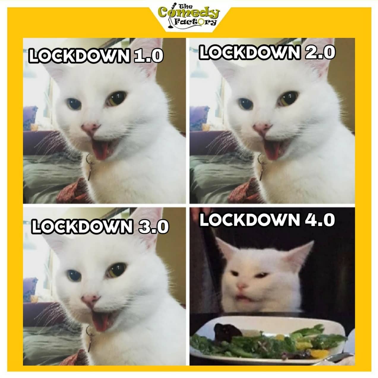 The Comedy Factory,  memesdaily, trending, lockdownextension, lockdown, meme, funnymemes