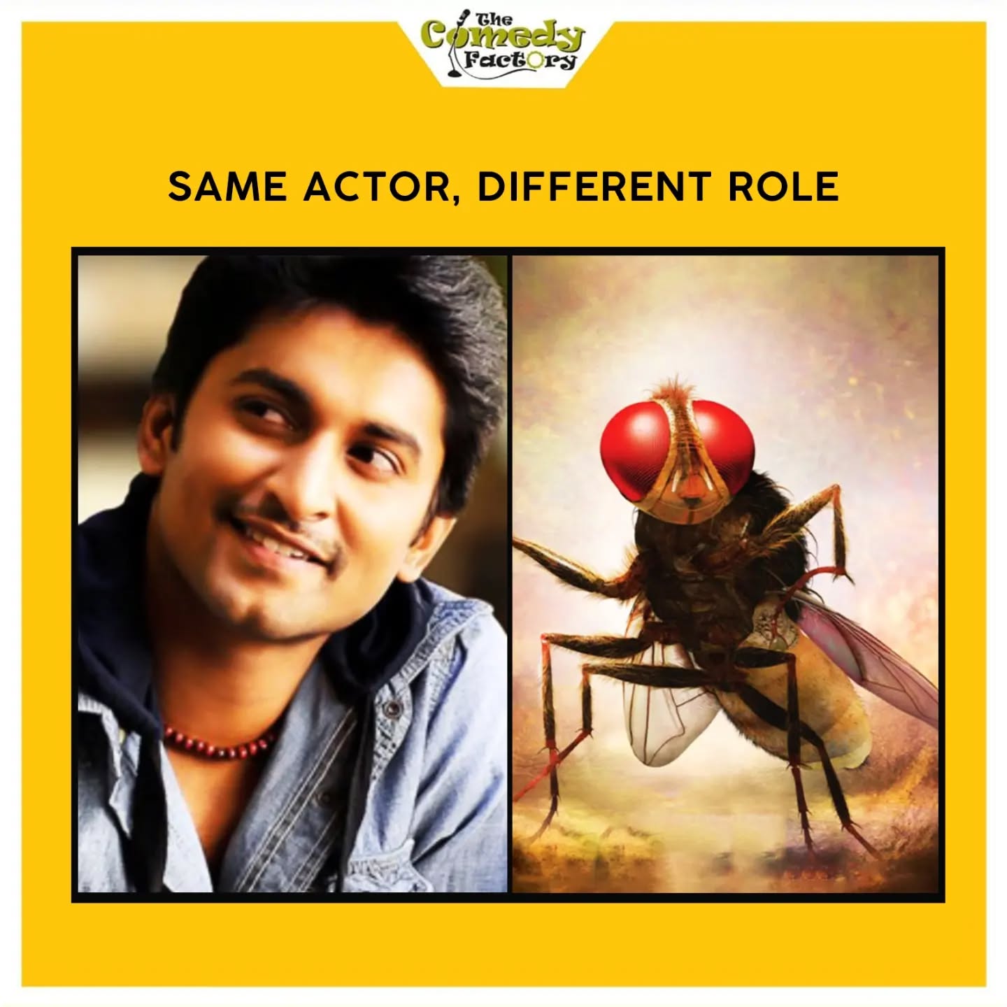 The Comedy Factory,  memesdaily, memes, funnymemes, trending, trend