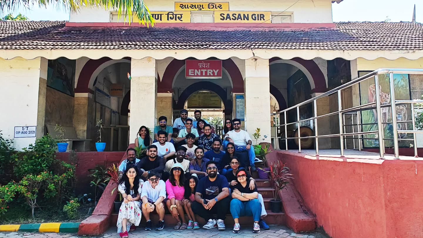 The Comedy Factory,  FunInFern, vacation, girforest, thefern, lion, leopard, thecomedyfactory, safari, jungle