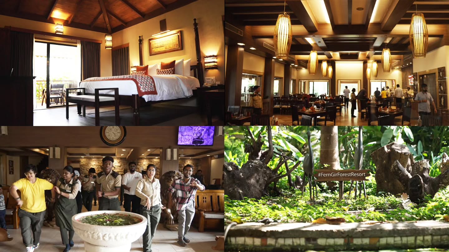 The Comedy Factory,  FunInFern, vacation, girforest, thefern, lion, leopard, thecomedyfactory, safari, jungle