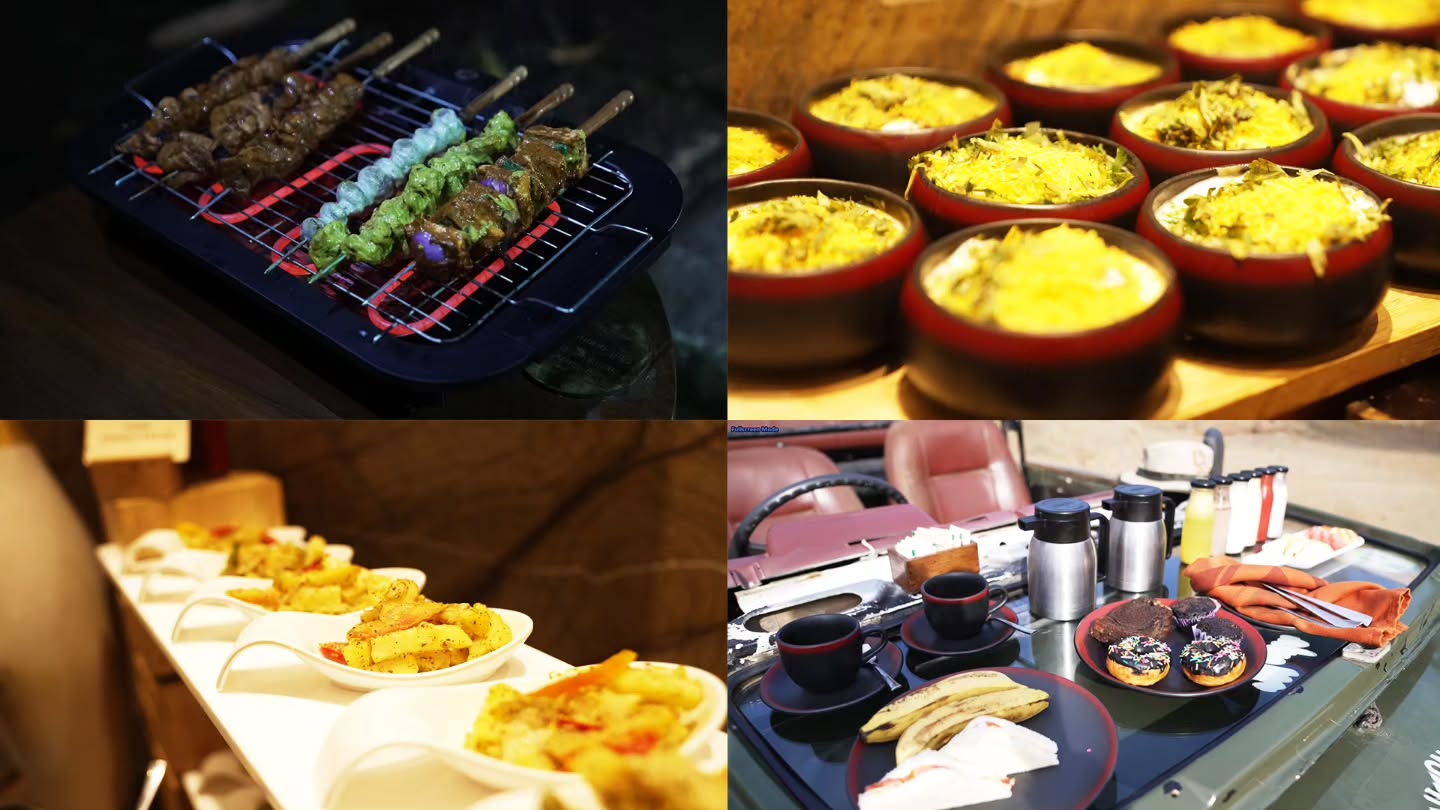 The Comedy Factory,  FunInFern, vacation, girforest, thefern, lion, leopard, thecomedyfactory, safari, jungle