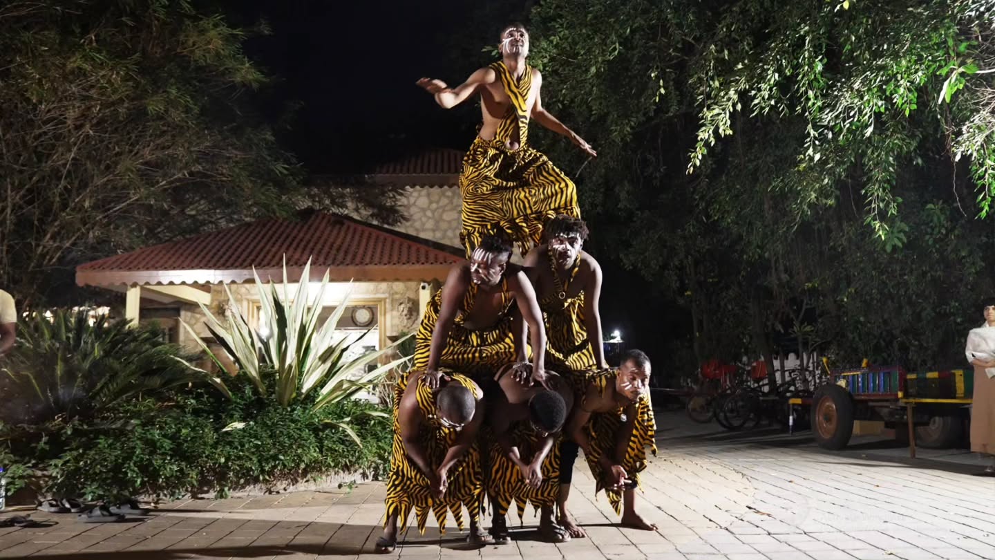 The Comedy Factory,  FunInFern, vacation, girforest, thefern, lion, leopard, thecomedyfactory, safari, jungle