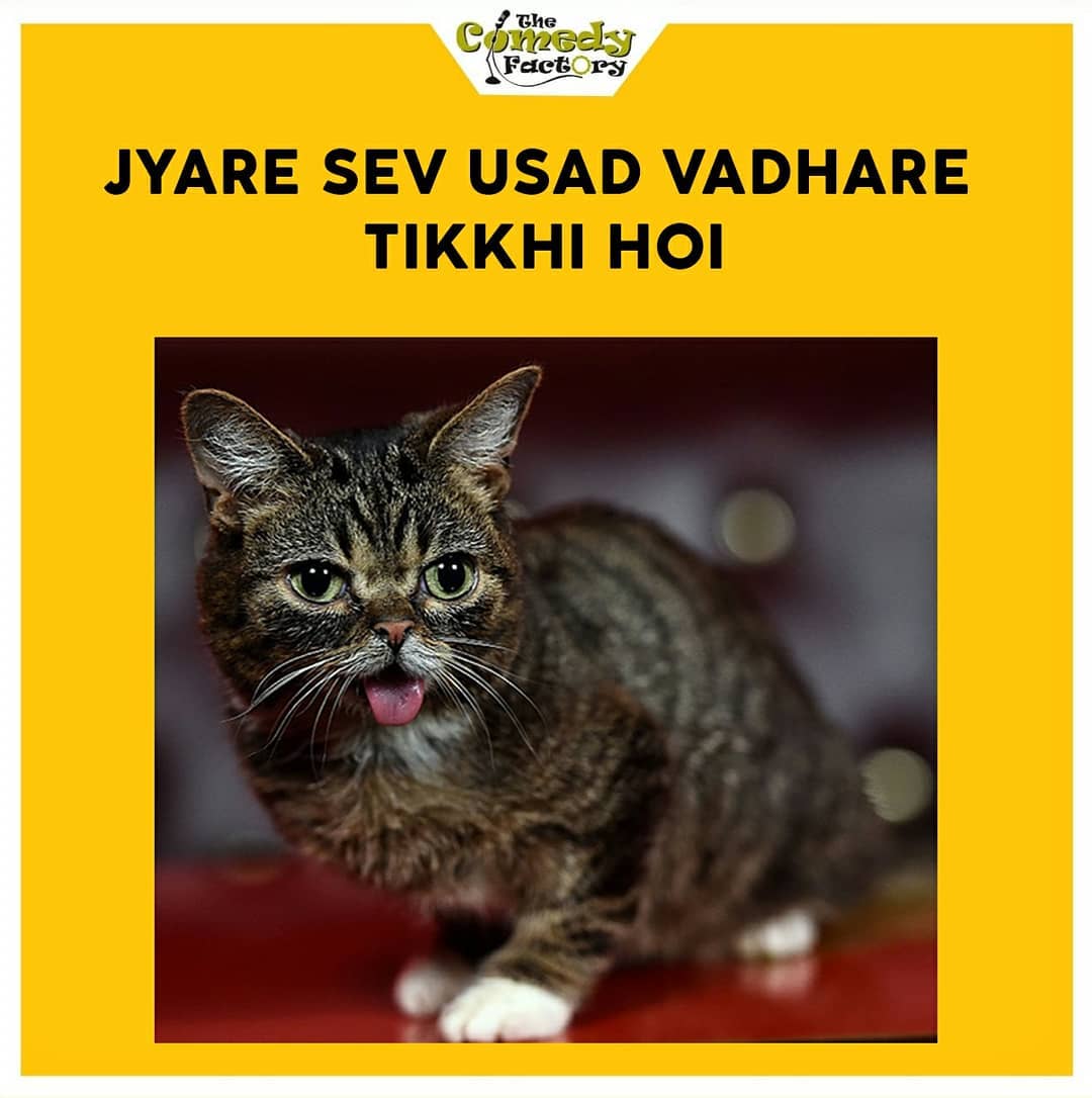 The Comedy Factory,  meme, memesdaily, gujjumemes, gujaratimemes, funnymemes, memes