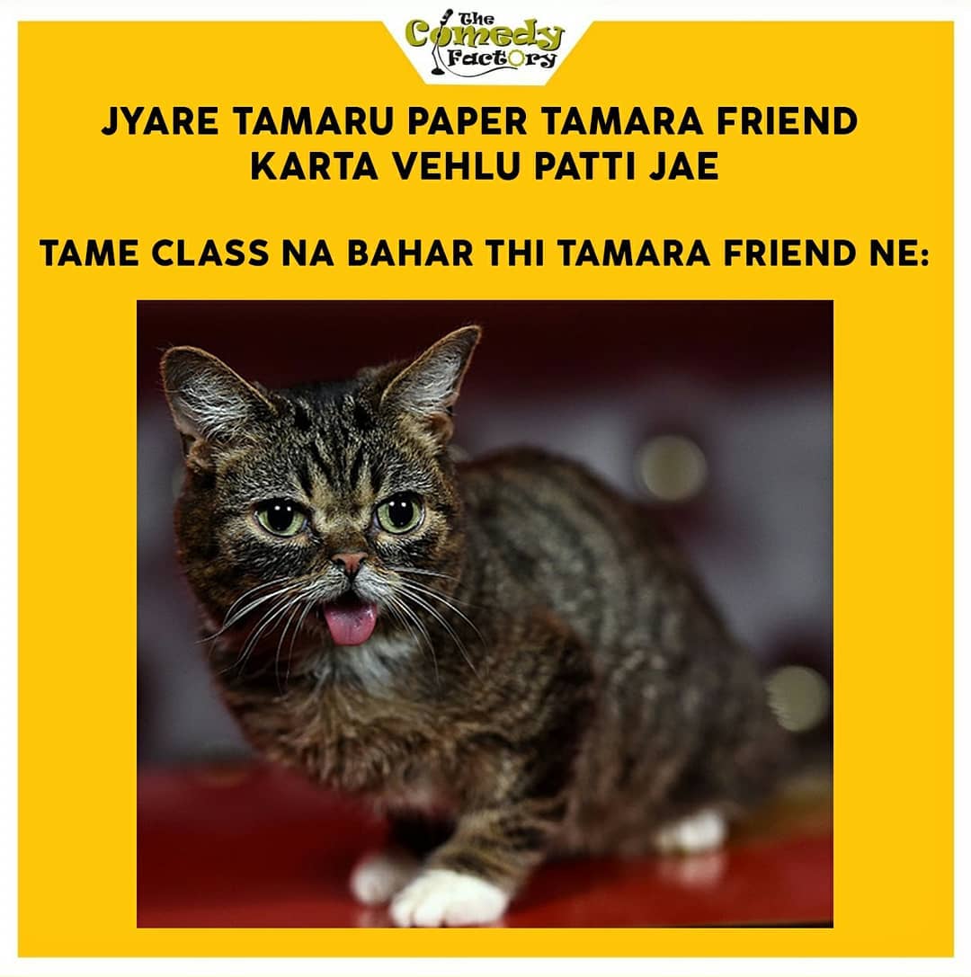 The Comedy Factory,  meme, memesdaily, gujjumemes, gujaratimemes, funnymemes, memes