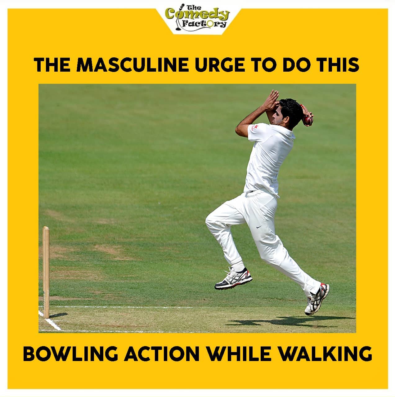 The Comedy Factory,  memesdaily, memes, dailymemes, cricket